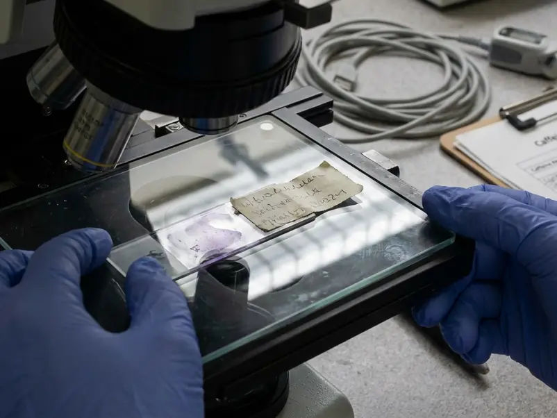 Microscope view or petri dish, scientific context — tissue sample slide under polarized clean room